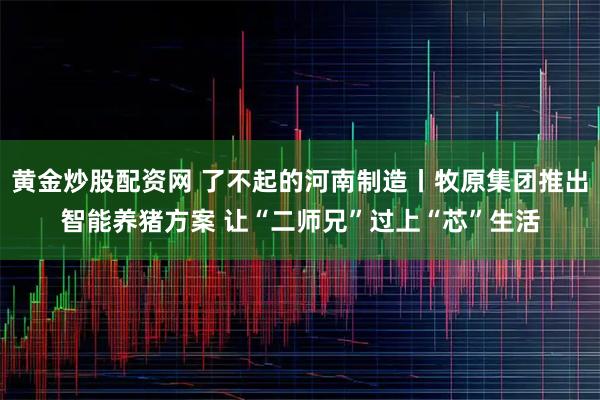 黄金炒股配资网 了不起的河南制造丨牧原集团推出智能养猪方案 让“二师兄”过上“芯”生活