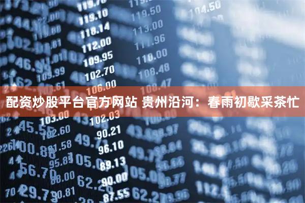 配资炒股平台官方网站 贵州沿河：春雨初歇采茶忙